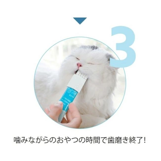 チューイングブラシ （4個までメール便可） 猫 歯みがき ペット用品 デンタルケア｜shinbeejapan｜18