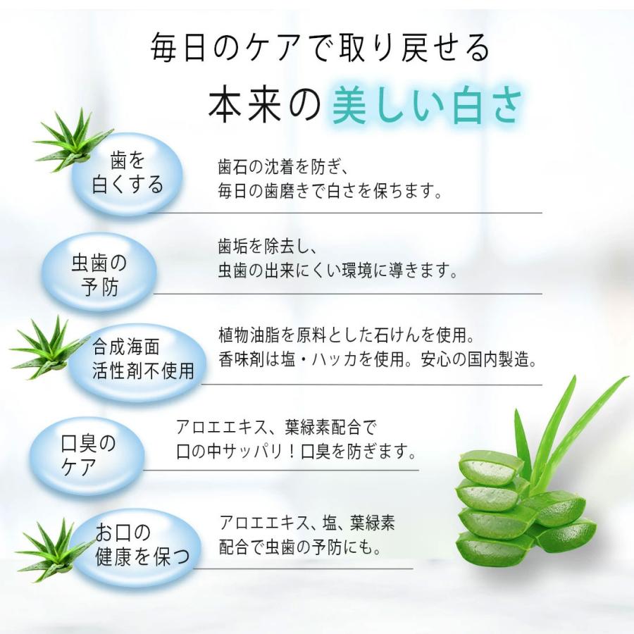 フッ素なし 歯磨き粉 スキッと爽快 アロエ デンダルソルト Lサイズ