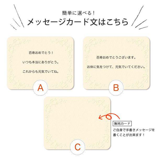 お誕生日新聞 百歳の祝い 記念品 百寿 お祝い プレゼント プチギフト