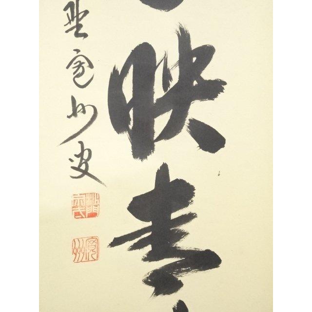 ys5568301; 【照雪】  大徳寺長谷川寛州筆　「紅葉映青苔」一行書　肉筆紙本掛軸（共箱）【道】