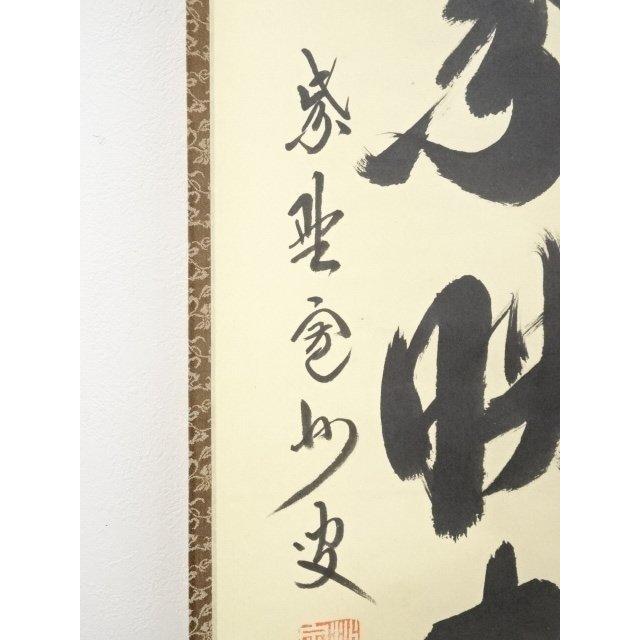 ys5568301; 【照雪】  大徳寺長谷川寛州筆　「紅葉映青苔」一行書　肉筆紙本掛軸（共箱）【道】