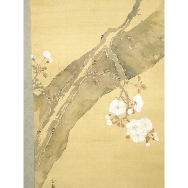 ys5576261; 三熊花顛筆 桜図 肉筆絹本掛軸（保護箱）【道】 【公式通販】