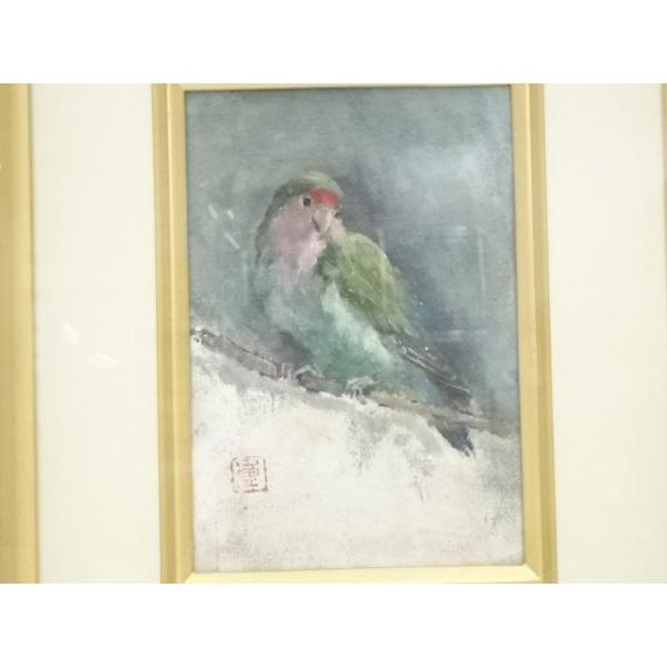 ys5638341; 絵画 黒田重太郎筆 小桜いんこ 油彩 肉筆額装（黒田重太郎