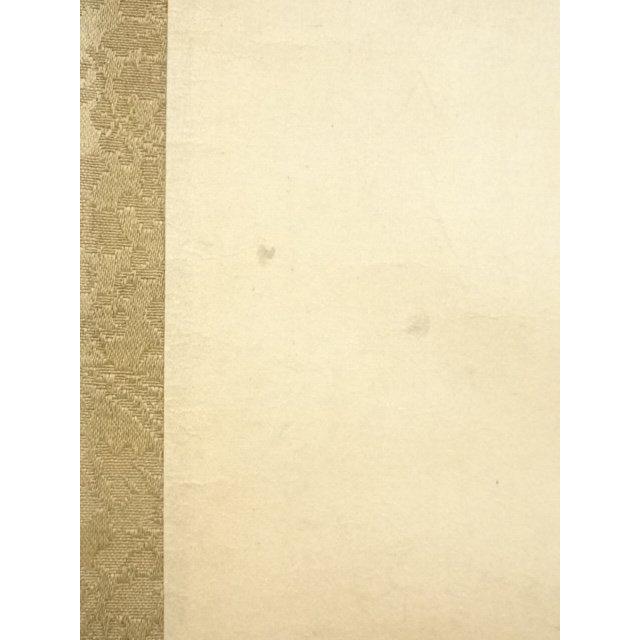 65629066_13