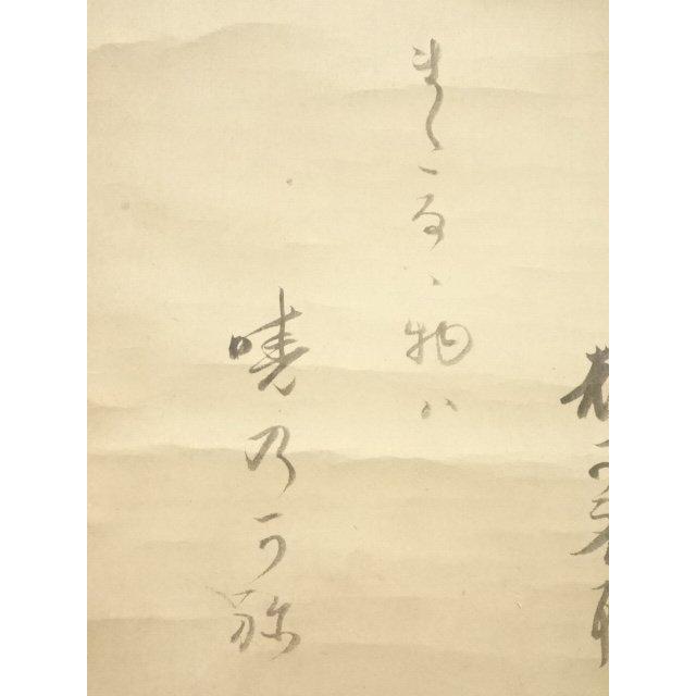 65629066_7