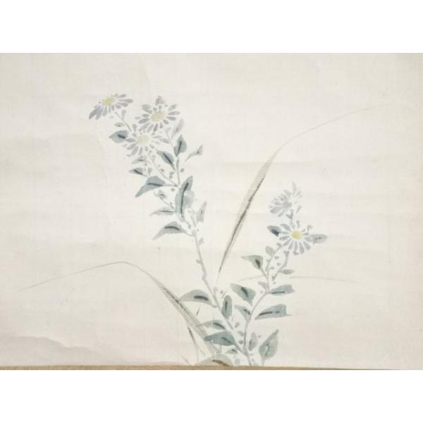 ys5961803; 大徳寺435世大綱宗彦賛　寒菊図　肉筆紙本掛軸（箱付）【道】_2