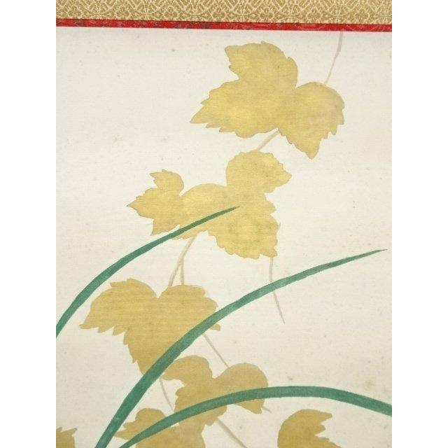 ys6416873; 三輪晁勢筆 つた 肉筆絹本掛軸（共箱）【道】 : kimono
