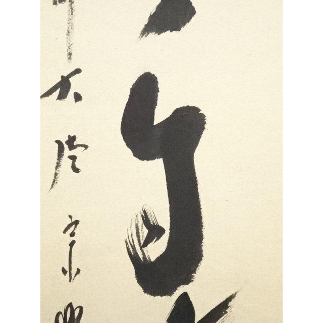 掛軸 前大徳 極寺主 西垣宗興 「松寿千手翠」 若松画 共箱 V R5930B