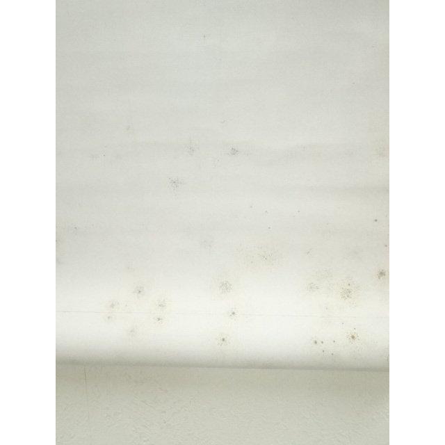 ys7134226; 大徳寺　小田雪窓筆　「平常心是道」一行書　肉筆紙本掛軸（共箱）【道】_11