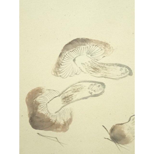 ys7182356; 【北沢】  前大徳　足立泰道筆　「萬里無片雲」松茸図画賛　肉筆紙本掛軸（共箱）【道】