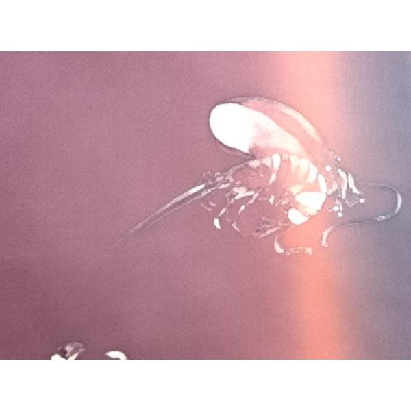 ◎鉄絵ぐい呑 成良仁 東京藝術大学卒 日本工芸会正会員 講師紹介