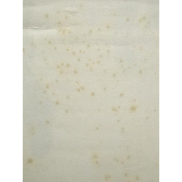 ys7485983; 妙心寺　大珠院　盛永宗興筆　「年々歳々花相似　年々歳々人不同」二行書　肉筆紙本掛軸（共箱）【道】_16
