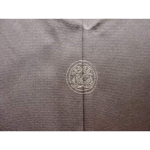 ys7739237; 金彩松ぼっくり模様刺繍一つ紋色留袖(重ね衿付き)【着】_4