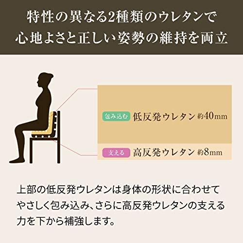 即納！最大半額！ スタイル 姿勢矯正 プレミアム(Style PREMIUM