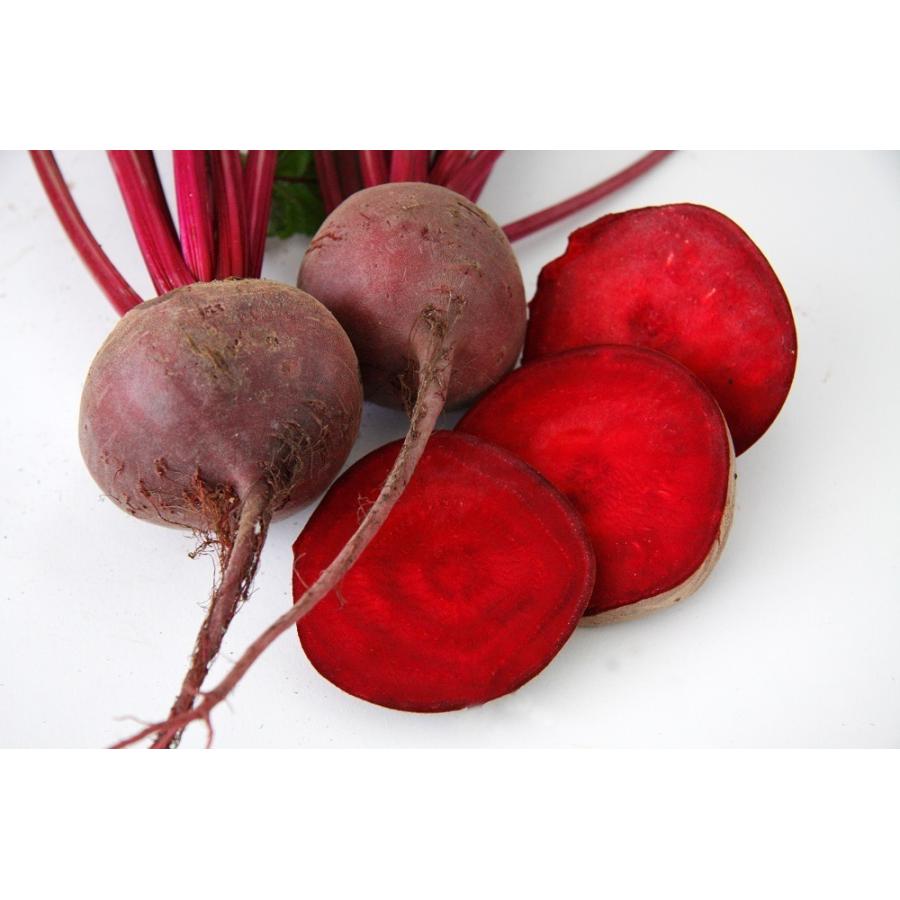 北海道産 赤ビーツジュース 2本セット販売 シャインツリー Yahoo 店 通販 Yahoo ショッピング