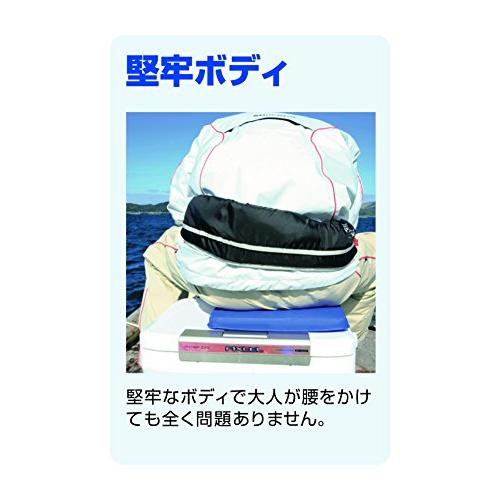 シマノ(SHIMANO) クーラーボックス 小型 17L フィクセル リミテッド 170HF-017N 釣り用 ピュアホワイト クーラーボックス 17L ピュアホワイト 17リットル 幅x長x高