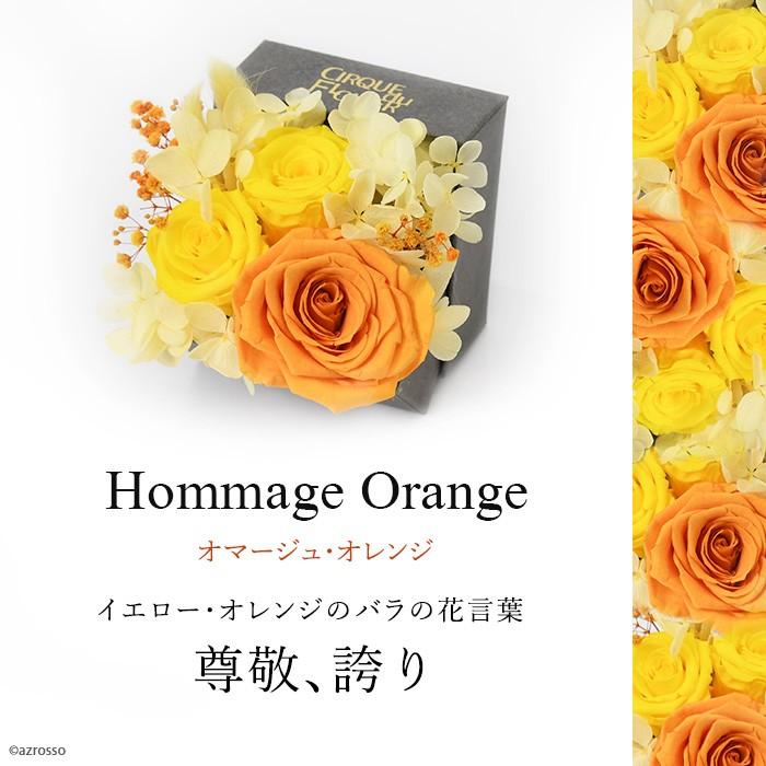 父の日 ギフト 男性用 プリザーブド フラワー ボックス アレンジメント バラ 紫陽花 花 オレンジ イエロー グリーン 緑 黄 プレゼント Cdffat001 シンフーライフアザーライフ 通販 Yahoo ショッピング