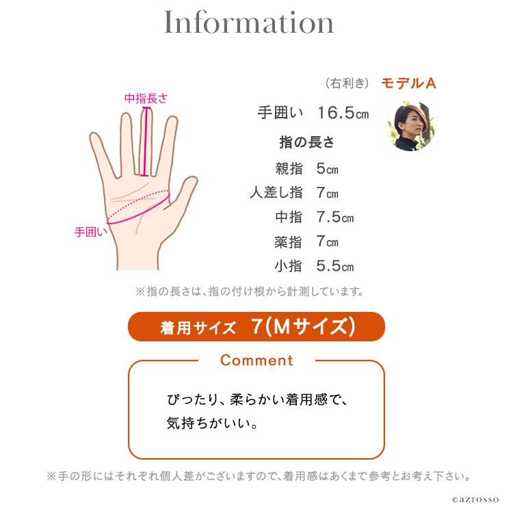 DENTS dents 手袋 デンツ グローブ レディース スマホ対応 革 DENTS dents 手袋 デンツ グローブ レディース スマホ対応 革