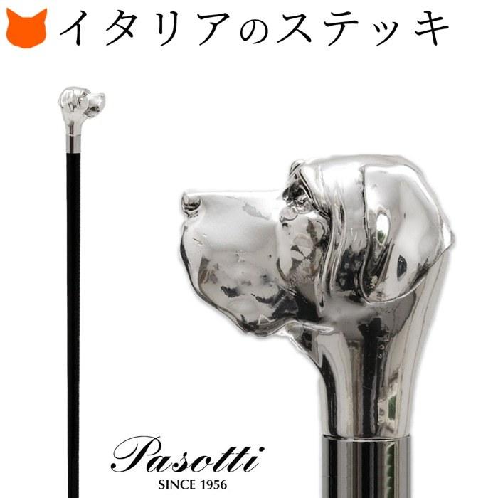 九州産 アンモナイト プロテキサナイテス 超特大 希少 博物館展示級