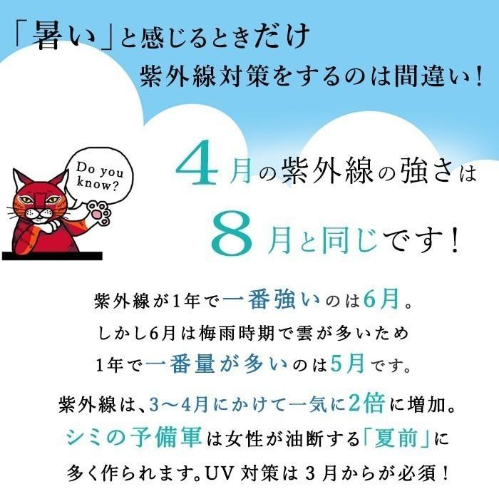 正規激安 日傘 折りたたみ 白 傘 花柄 ローズ プレミアム ホワイト 紫外線カット 日本製 晴雨兼用 プレゼント 母の日 母 義母 花以外 実用的 Uvion Pw4010 シンフーライフアザーライフ 通販 Yahoo ショッピング 新しい到着 Www Ladislexia Net