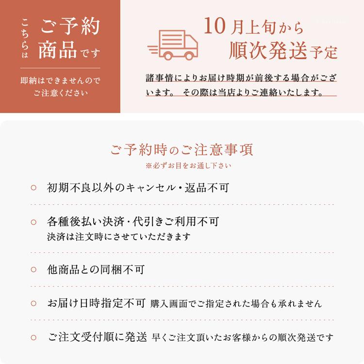 傘 杖 ステッキ 杖傘 兼用 仕込み杖 仕込み傘 軽量 日本製 晴雨兼用 父