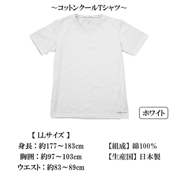 シャツ メンズ シャツクール Q-Max0.324 コットン シャツシャワー シャツミスト 夏 Tシャツ tシャツ 半袖 綿100％ 日本製｜shingman2｜07