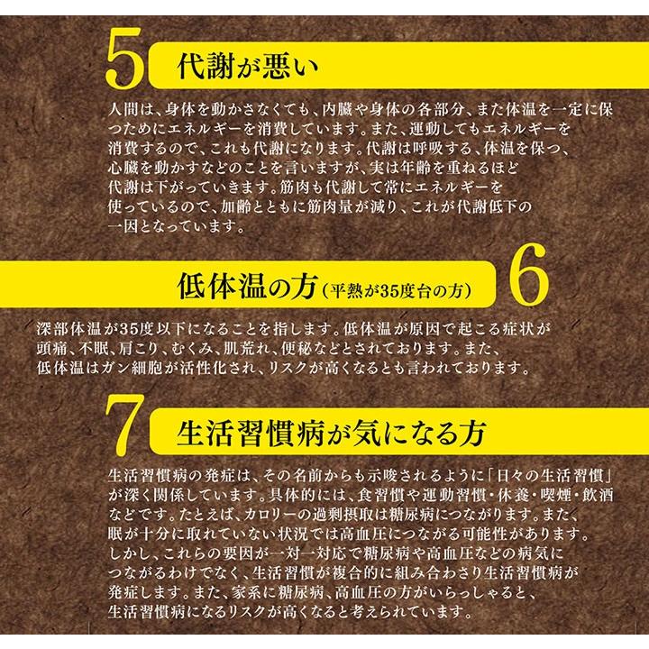 マットレス 敷布団 グースリー ホルミシス 玉川温泉 岩盤浴 マイナスイオン 遠赤外線効果 95 200 5ｃｍ ホルミック 正規品 4515931311249 寝具マン ヤフーショップ 通販 Yahoo ショッピング