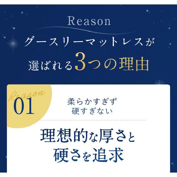 マットレス シングル 三つ折り グースリー 高反発マットレス 通気性 硬め 高反発 体圧分散 軽量 3つ折り シングルマットレス 敷布団 敷き布団 お昼寝マット | Goosely | 06