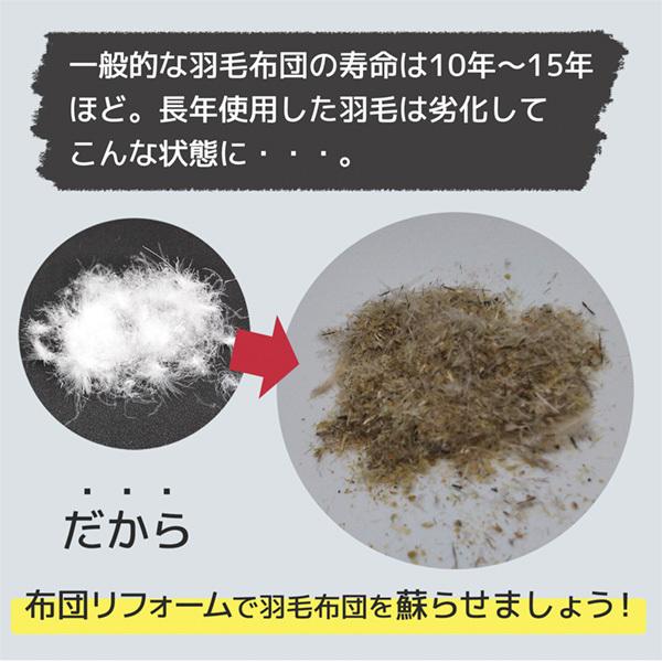 羽毛布団 クリーニング 布団 打ち直し ダブル シングル ダブルからシングル 羽毛布団 リフォーム 布団クリーニング 羽毛リフォーム スタンダードコース |  | 01