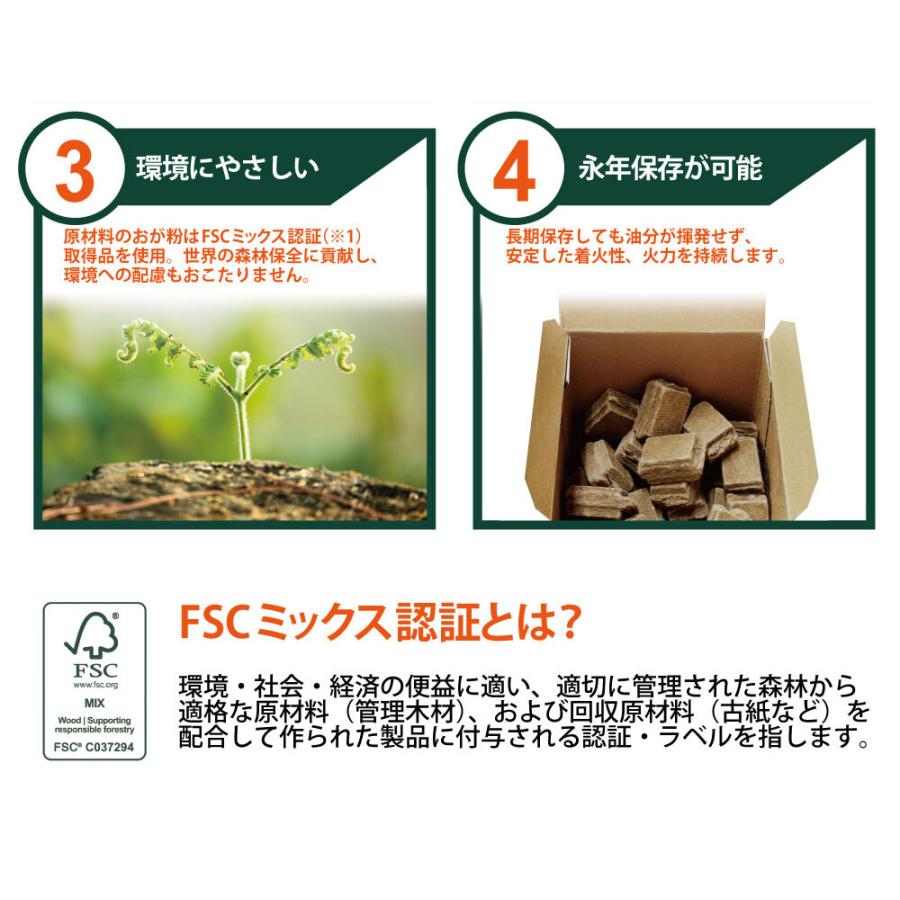 送料無料】永年保存可能 着火剤 ファイヤーアップ 1パック 100個入り