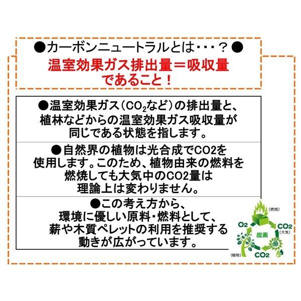 【送料無料】永年保存可能 着火剤 flamy フレミー 72個入×12バケット　薪ストーブ 暖炉 着火材 キャンプ 焚き火 防災 災害｜shingushoko｜08