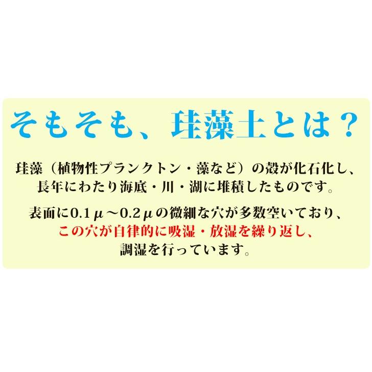 靴 消臭 珪藻土 スティック 2本セット 脱臭 消臭剤 臭い 除湿 調湿 乾燥 除湿剤 湿気取り |  | 04