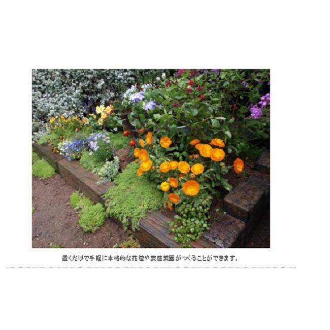 コンクリート枕木 スリーパーエッジャー A 段違2連 ×3個(N95835) 枕木