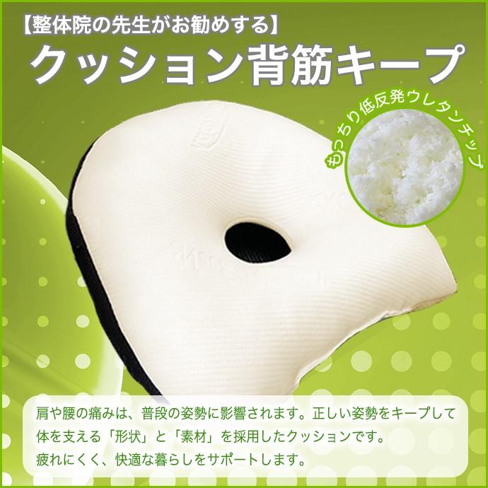 クッション 背筋キープ 約37×40cm 低反発ウレタンチップ ネック