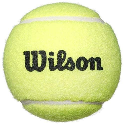 Sale 58 Off Wilson ウイルソン 子供用 テニスラケット セット 21インチ 幼児小学低学年向け ラケット2本 ボール2個 ブルー Whitesforracialequity Org