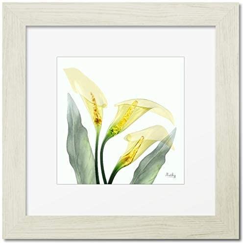 激安売上 絵画 黄色いユリ インテリア 絵 イエロー Myk Umy12s3abならショッピング ランキングや口コミも豊富なネット通販 更にお得なpaypay残高も スマホアプリも充実で毎日どこからでも気になる商品をその場でお求めいただけます 楽器 手芸 コレクション