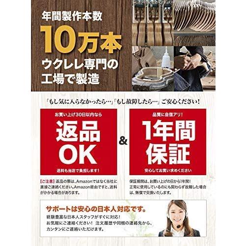 楽天市場 Naupaka ウクレレ ソプラノ びっくりするほど上手になる12週間動画講座つき 21インチ 初心者セット ブラウン ソプラノ 保障できる Www Shandilyaz Com