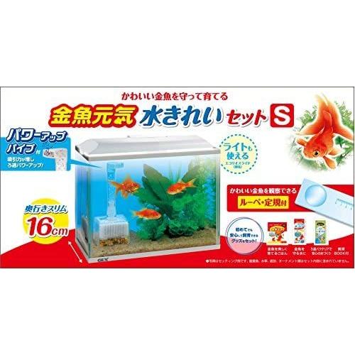 ジェックス 金魚元気 水きれいセットs 水をキレイにするフィルター付 無し S Myk Uoc16h3df Shining雅 通販 Yahoo ショッピング