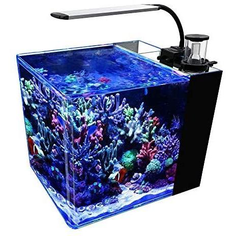 Gankpike アクアリウムセット 超クリアガラス水槽 海水魚水槽 容量 約31l Myk Vja06u0aa Shining雅 通販 Yahoo ショッピング