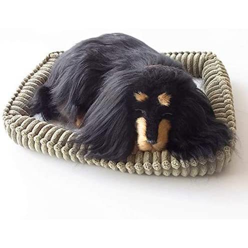 パーフェクトペット スヤスヤ息をしてるようにお腹が動くぬいぐるみ ダックス ロング ブラックタン 小 小 Myk Vnv17r5dh Shining雅 通販 Yahoo ショッピング