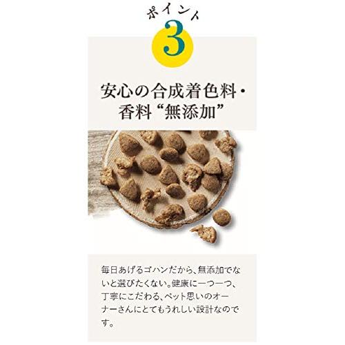 限定ピュリナ ワン ピュリナワンキャット メタボリックエネルギー