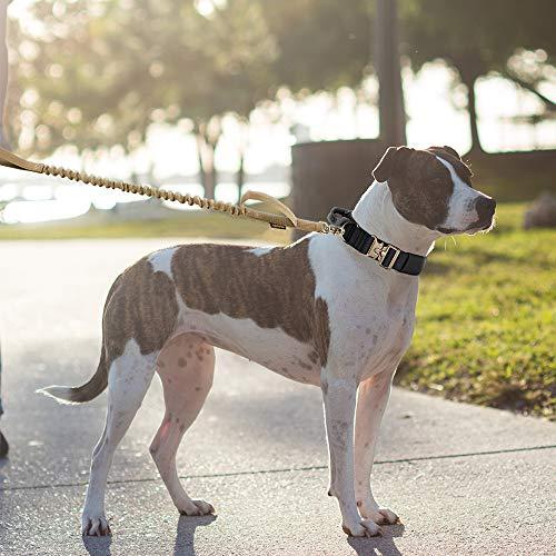 EXCELLENT ELITE SPANKER リード 犬 ナイロン製 犬 リード 中型犬 ショック吸収 リード 大型犬 訓練 犬リード 伸縮 |  | 07