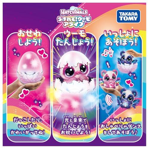 タカラトミー うまれて ウーモ アライブ パンドゥー_5