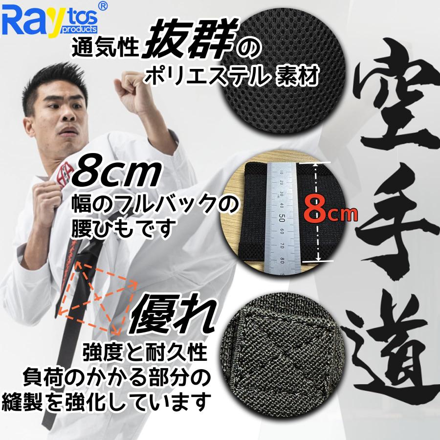 Raytos ファールカップ ボクシング 格闘技 金的ガード PVCファール