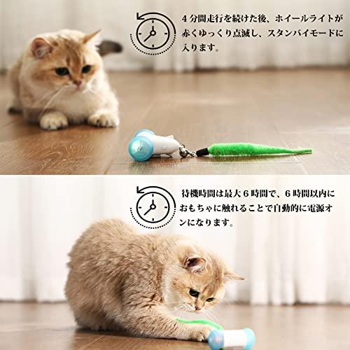 ねこじゃらし Amazon | WD&CD 猫じゃらし 猫おもちゃ 交換用羽12個 竿2個