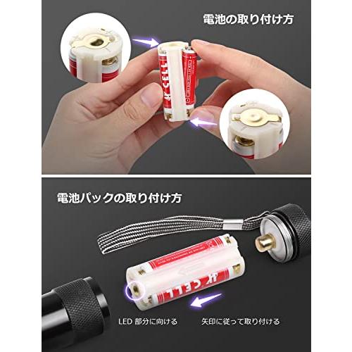 Lepro ブラックライト led uvライト 紫外線ライト UVライト レジン用