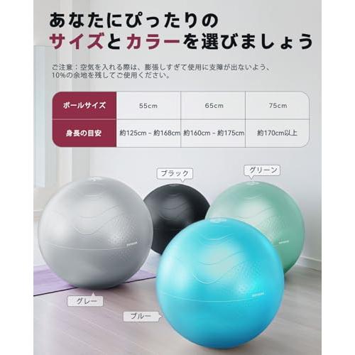 HAPBEAR バランスボール ジムボール フィットネスボール アンチ
