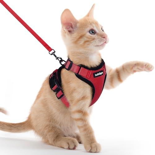 Rabbitgoo 猫 ハーネス リード セット 小型犬 犬猫兼用 抜けない はー