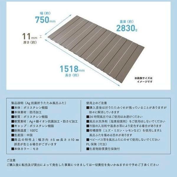 AGスリム 収納フロフタ L-15 750×1500mm用 モカ : シャイニング AGスリム 収納フロフタ L-15 750×1500mm用 モカ : シャイニング