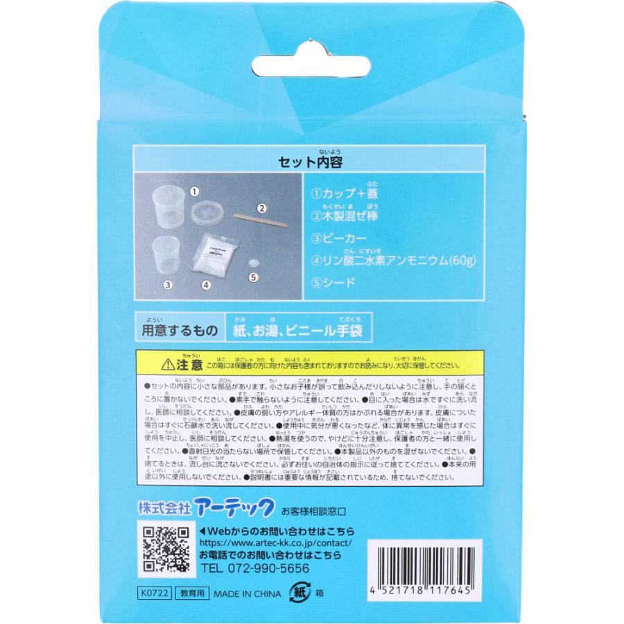 クリスタル結晶育成キット 1セット : シャイニングストアEXPRESS